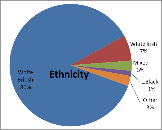 Ethnicity Breakdown