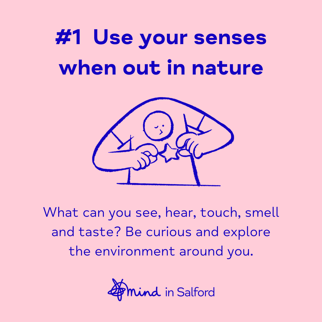 #1 Use your senses when out in nature. What can you see, hear, touch, smell and taste? Be curious and explore the world around you.
